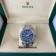 ROLEX Sky-Dweller Jubilee ( Blue Dial ) 2022 - 326934