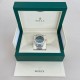 ROLEX Sky-Dweller 336934 ( Mint Dial ) Jubilee ROLEX Sky-Dweller 336934 ( Mint Dial ) Jubilee