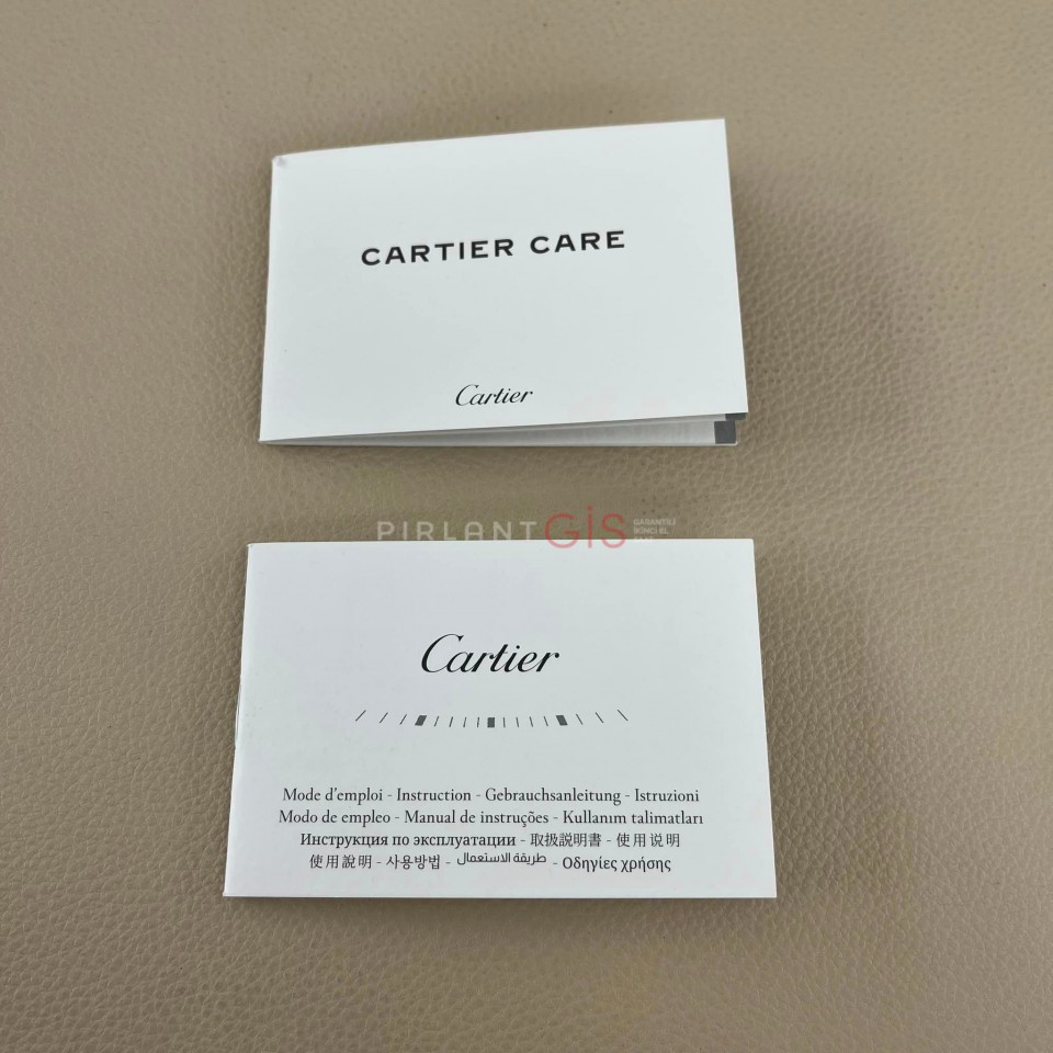 CARTIER Panthere Steel & Yellow Gold Medium Model W2PN0007 CARTIER Panthere Steel & Yellow Gold Medium Model W2PN0007