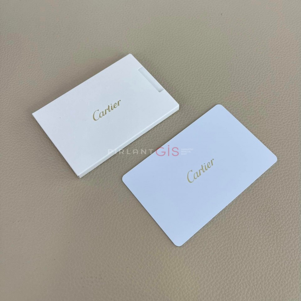 CARTIER Panthere Steel Medium Model WSPN0007 CARTIER Panthere Steel Medium Model WSPN0007