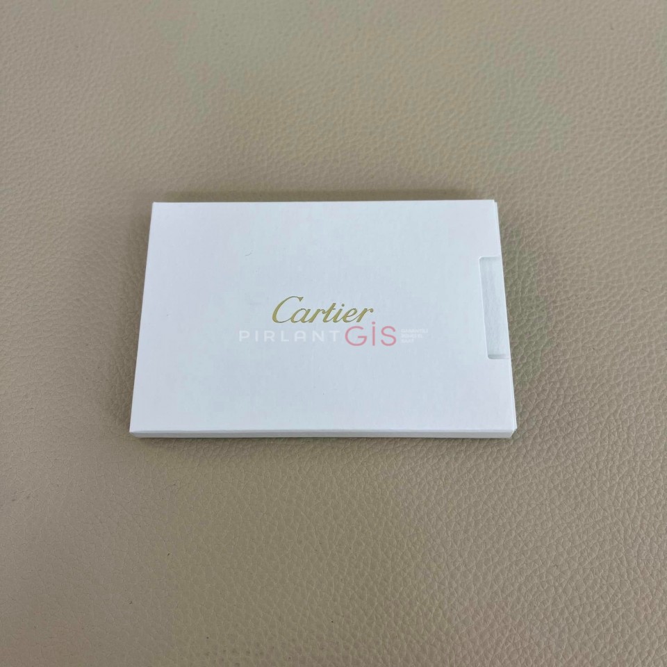 CARTIER Panthere Steel Medium Model WSPN0007 CARTIER Panthere Steel Medium Model WSPN0007