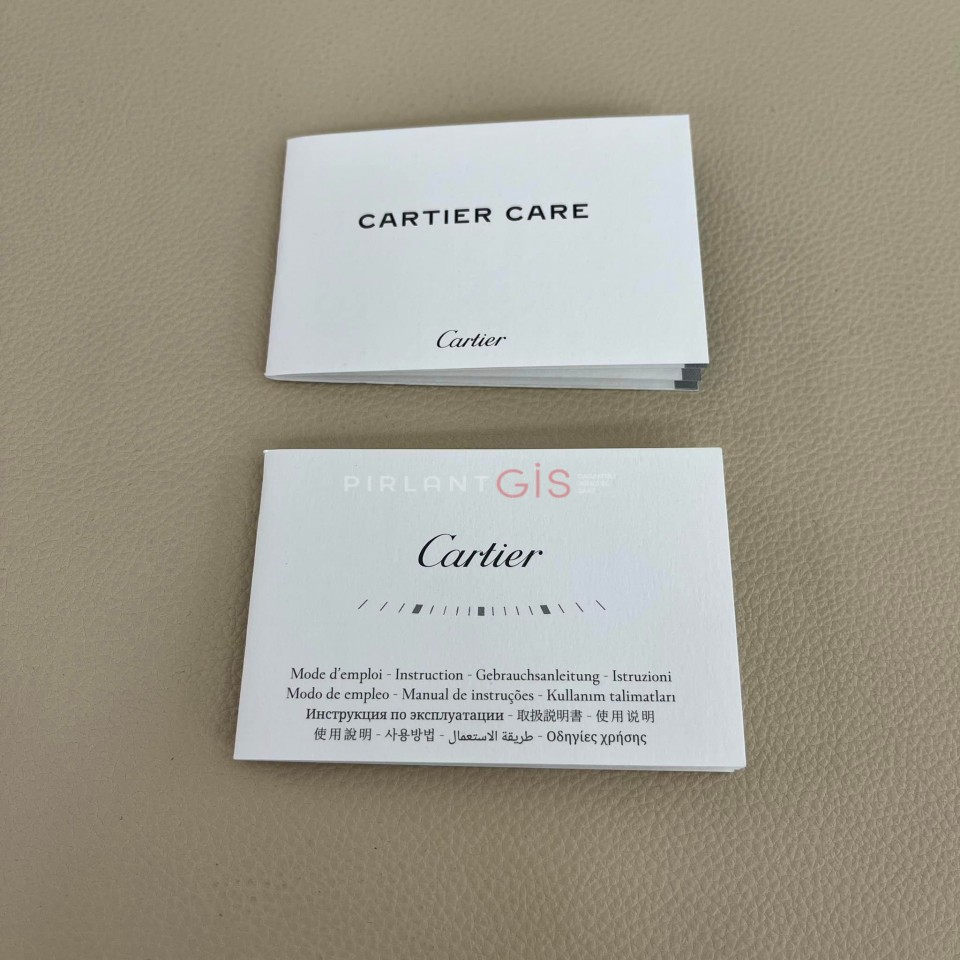 CARTIER Panthere Steel Medium Model WSPN0007 CARTIER Panthere Steel Medium Model WSPN0007