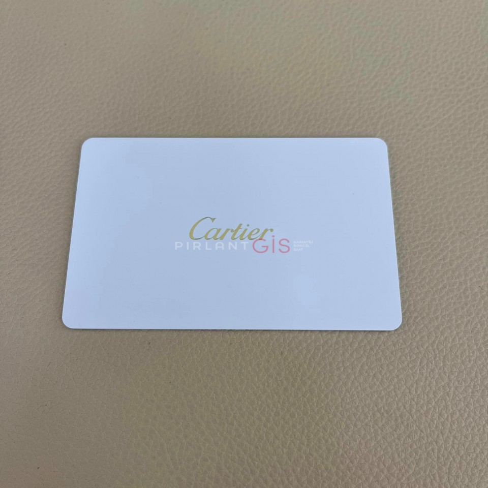 CARTIER Panthere Steel Medium Model WSPN0007 CARTIER Panthere Steel Medium Model WSPN0007