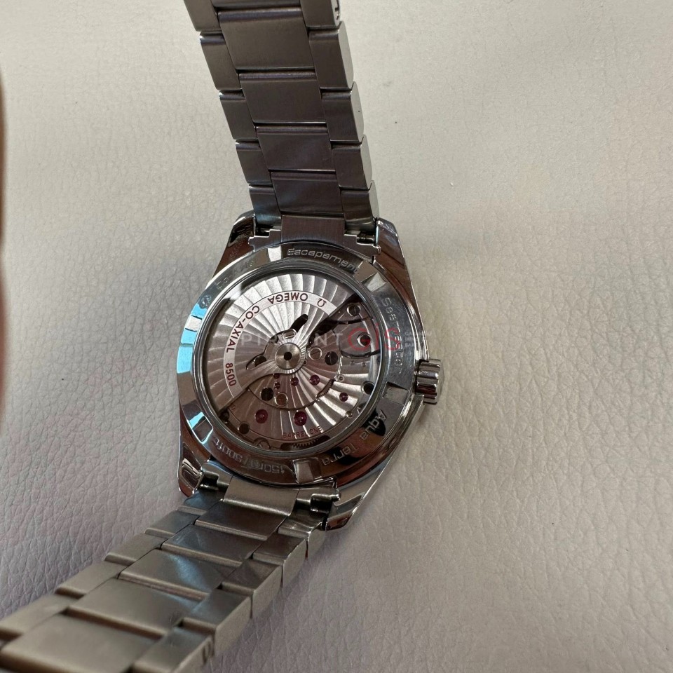 OMEGA Seamaster Aquaterra 231.10.39.21.01.001 OMEGA Seamaster Aquaterra 231.10.39.21.01.001
