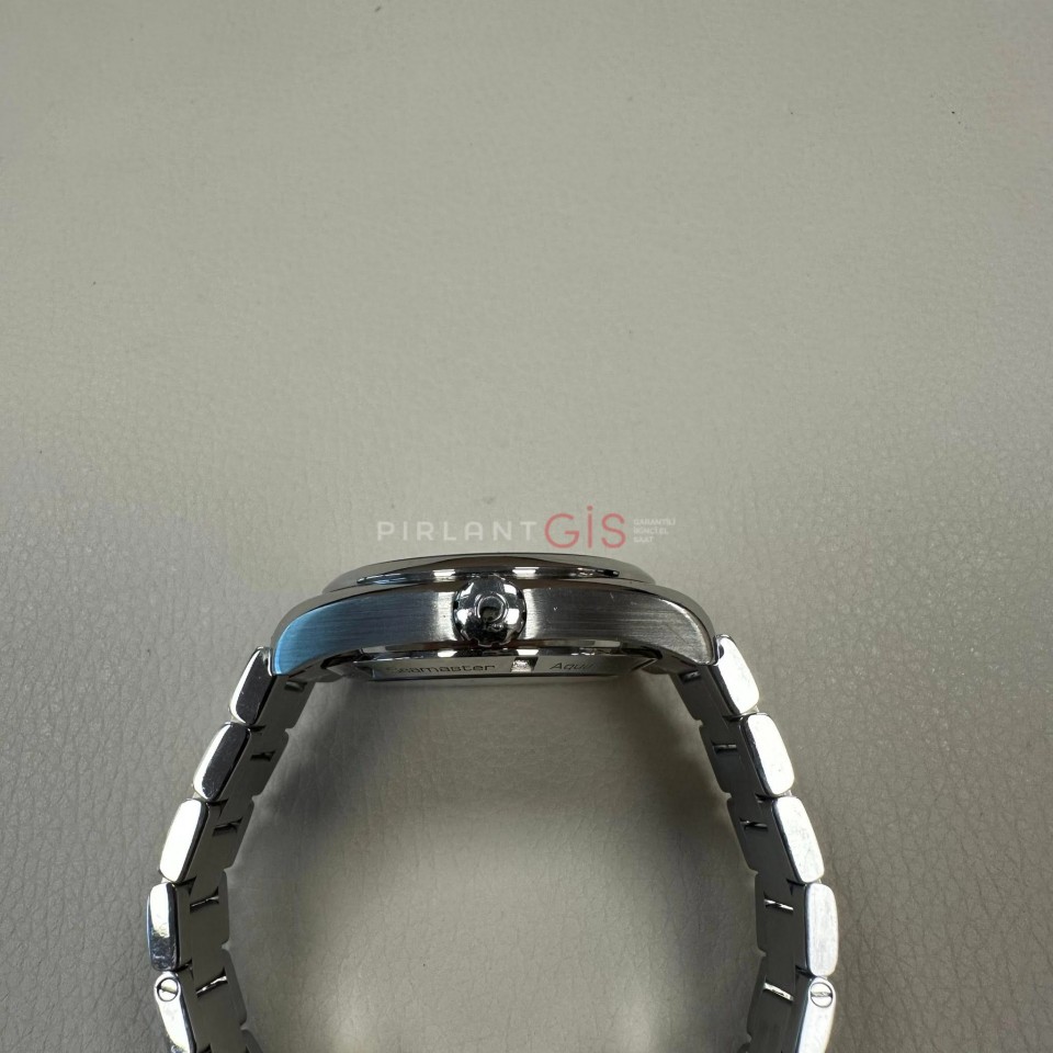 OMEGA Seamaster Aquaterra 231.10.39.21.01.001 OMEGA Seamaster Aquaterra 231.10.39.21.01.001
